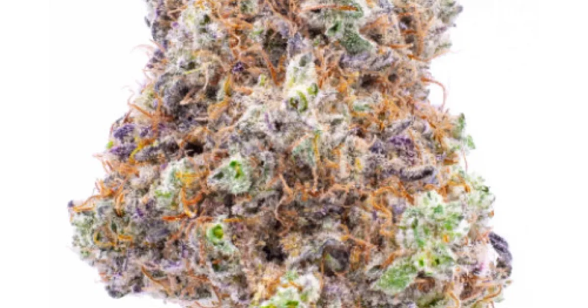 Buy Platinum Jelly Cannabis Buds Online from Hotbox